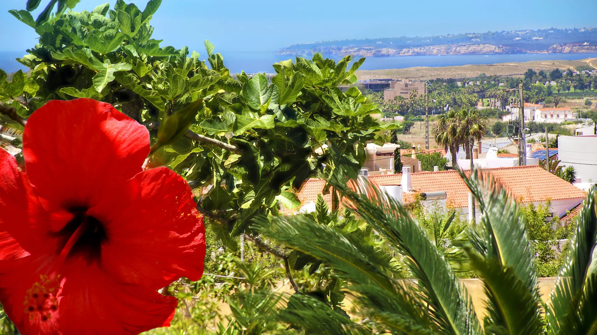Parque Monte Verde Albufeira Aldeamento Turístico